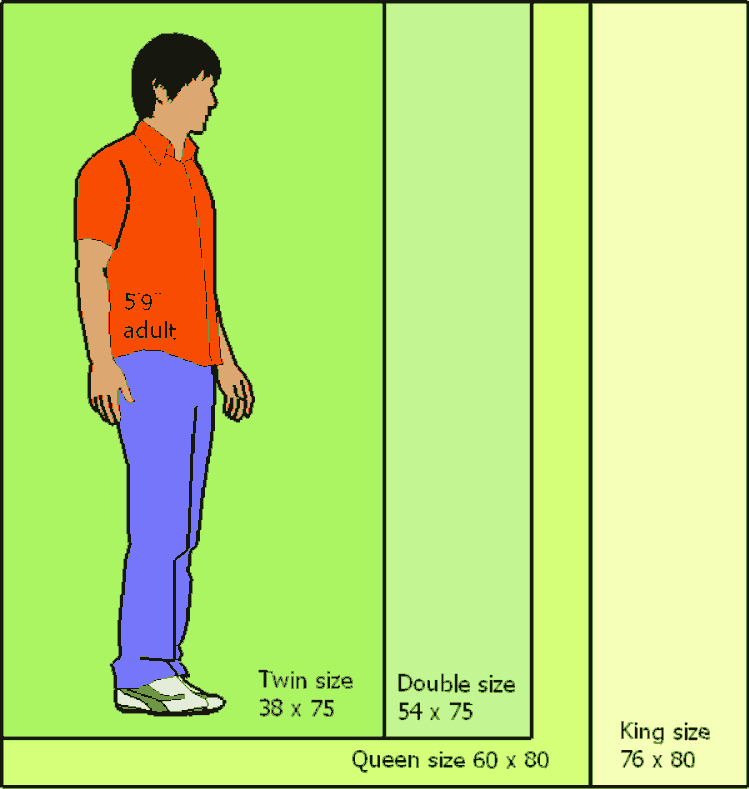  relation of the four common standard bed sizes inthe US and Canada