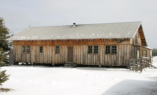 Weathered barn journal avec loft échelle. Un old weathered barn journal  maintenant entouré de bois a une échelle fixée pour l'accès à un op Photo  Stock - Alamy