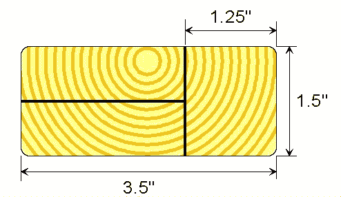 1x3 actual size